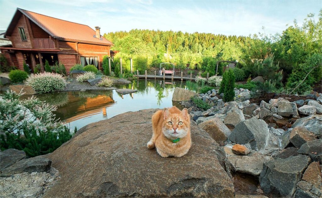 Усадьба "Рыжий кот"