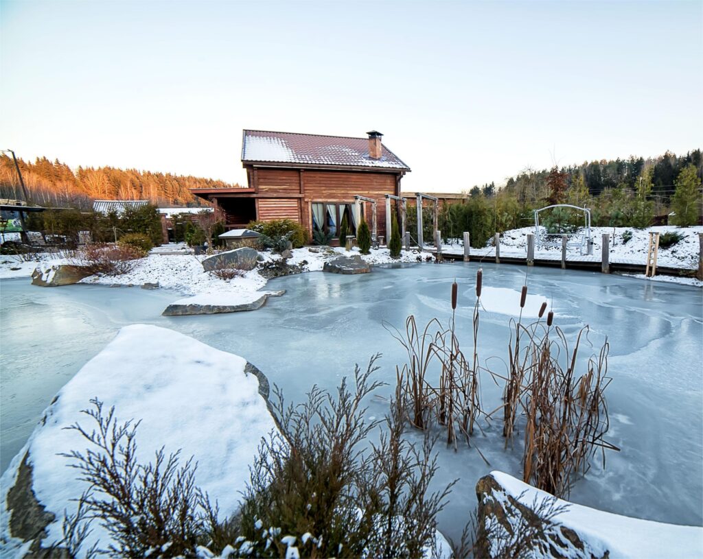 Усадьба "Рыжий кот"